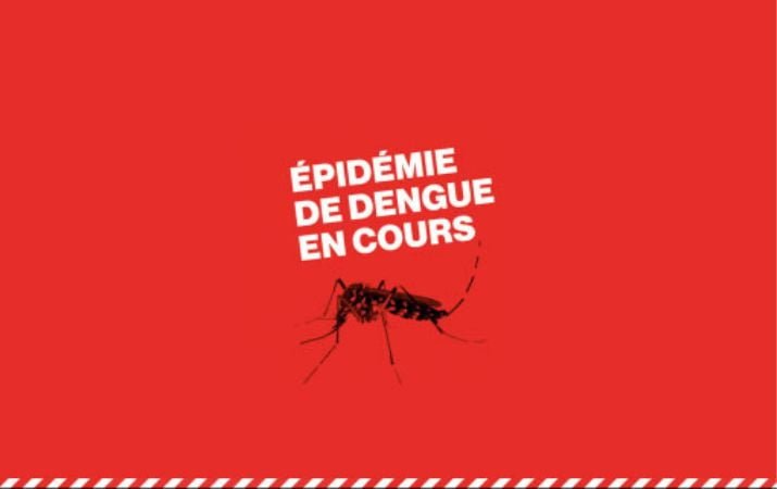 épidémie-de-dengue-en-cours