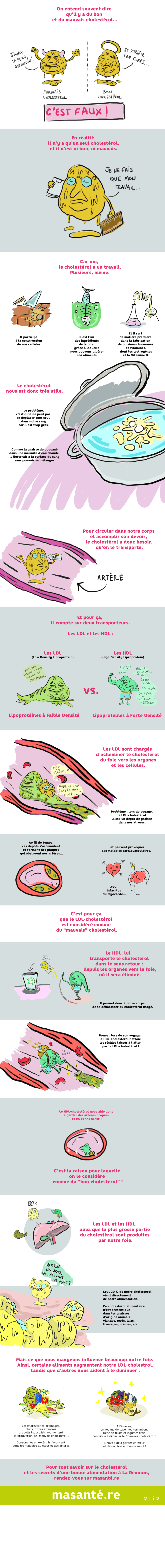 infographie-cholesterol-explication-bon-mauvais