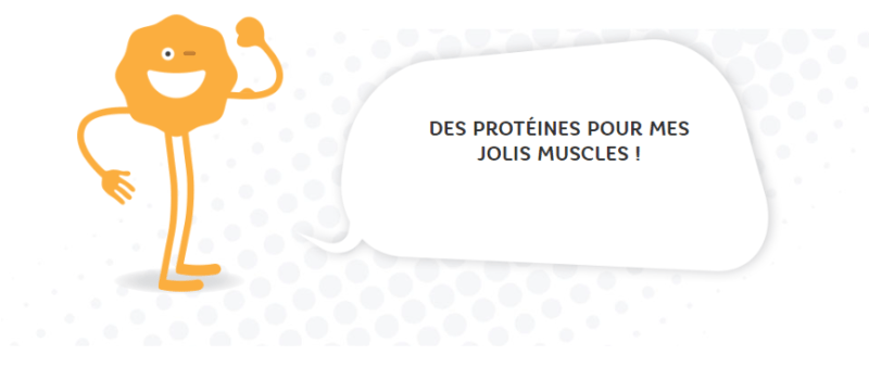 protéines-jolis-muscles