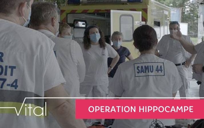 vital-operation-hippocampe